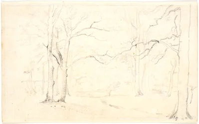 Waldinterieur
