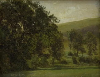 Bäume in Vissenbjerg, Fünen