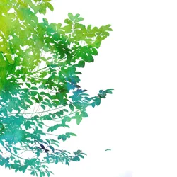 Abstrakte Aquarellblätter