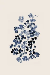 Indigo Blumenblüte