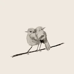 Süßes Vogelpaar