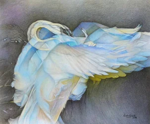 Taking Flight, 2019