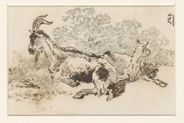 Ziege und Junges in einer Landschaft