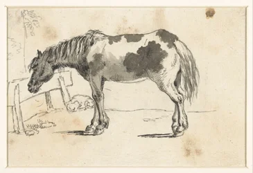 Stehendes Pferd und ein liegender Hund
