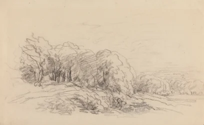 Landschaft mit Bäumen