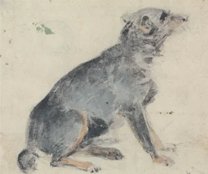 Studie eines Hundes