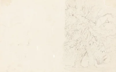 Bäume (verso)
