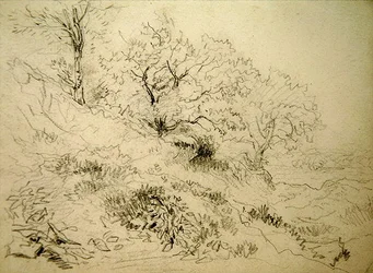 Walisische Landschaft