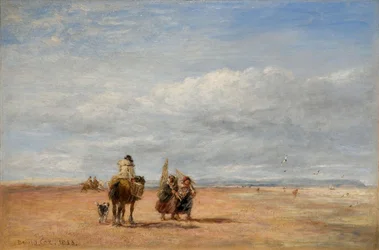 Die Garnelenfischer