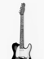 Monochrome E-Gitarre