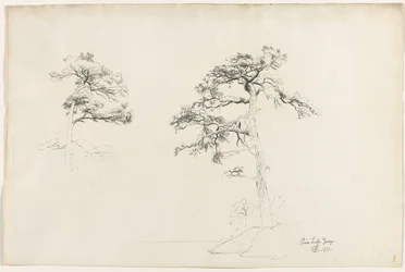 Kiefer, Lake George