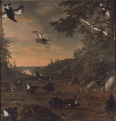 Schwarze Hähne auf dem Boden
