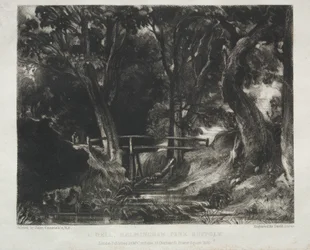 Verschiedene Landschaftsmotive, charakteristisch für englische Szenerien aus Bildern von John Constable, R.A.: Schlucht in den Wäldern von Helmingham Park, Suffolk