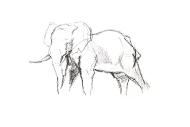 Bullenelefant