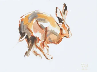 Hase (laufend), 2022