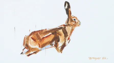 Hase, 2022