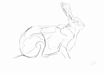 Hase