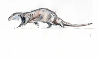 Otter läuft