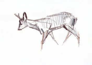 Rehbock