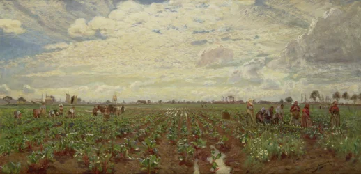Feldarbeiter, Holland, 1880er Jahre