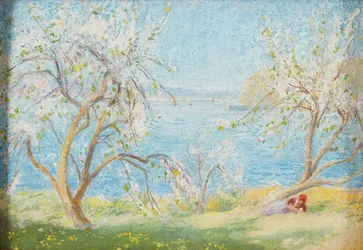 Frühlingssonnenschein