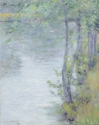 Früher Morgen am Farmington