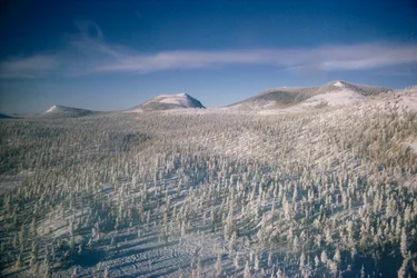 Sibirien im Winterlandschaft über Sümpfe und Wälder, bedeckt mit Schnee