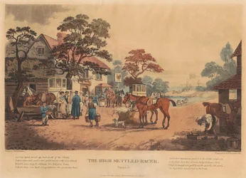 [Rennen] Satz von vier: Der hochmütige Renner