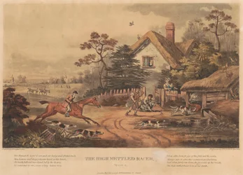 [Rennen] Satz von vier: Der hochmütige Renner