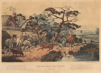 [Rennen] Satz von vier: Der hochmütige Renner