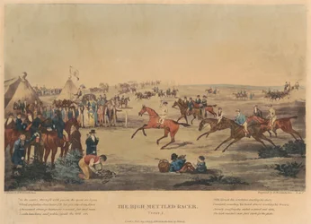 Set von vier: Der hochmütige Rennpferd