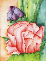 Wüstenblüte