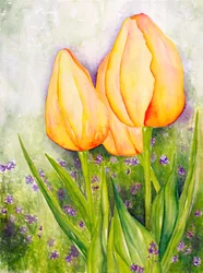Gelbe Tulpen