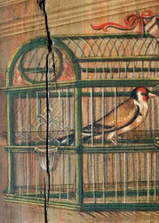 Vogel im Käfig, Detail aus einem Gemälde von Defendente Ferrari, im hinteren Teil des Chors aus dem 16. Jahrhundert, Kirche des Heiligen Hieronymus, Biella, Italien