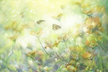 Träumerische Schmetterlingsblüten
