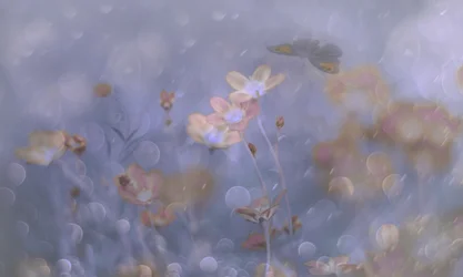 Träumerische Pastellblumen