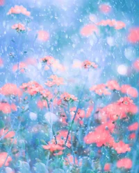 Träumerische rosa Blüten