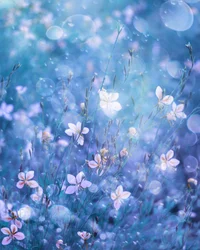 Ätherische blaue Blüten