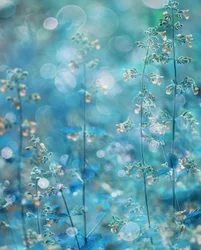 Ätherische türkisfarbene Blumen