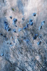 Verblasste Blaue Blüten