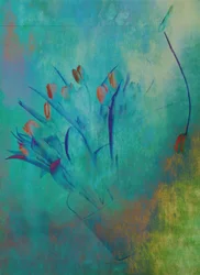 Gelassene Türkise Tulpen