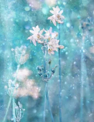 Funkelnde blaue Blumen