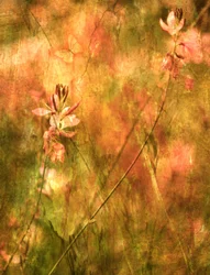Warme Herbst-Wildblumen