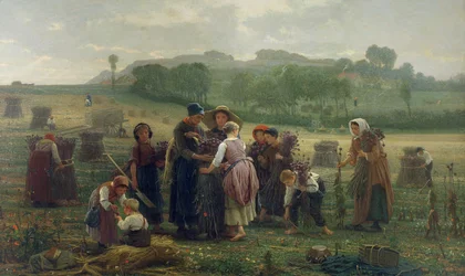 Mohnernte in der Picardie, 1860