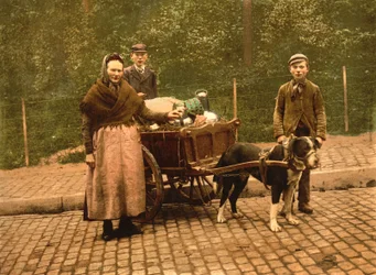 Milchverkäufer, Brüssel, Belgien, um 1900