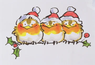 Weihnachtsrotkehlchen