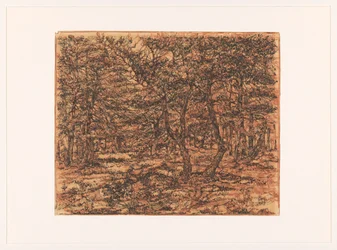 Waldlandschaft