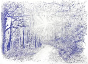 Wald im Gegenlicht