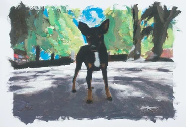 Hund in Chile
