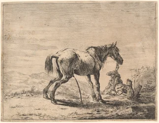 Steigendes Pferd in der Nähe eines Stalls